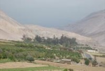 Azapa Valley Archaeological Half Day Tour